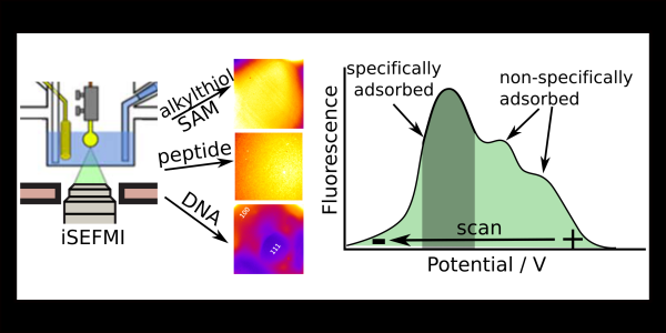 Measuring And Remediating Non Specific Modifications Of Gold Surfaces