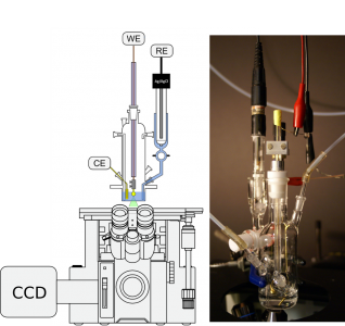 Insitu spectroelectrochemical fluorescence microscopy imaging