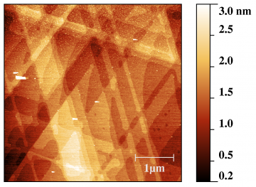 AFM (tapping mode) of Au(111) facet on Au bead electrode