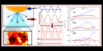 A non-linear harmonic analysis of potential induced fluorescence modulation of a DNA self assembled monolayer