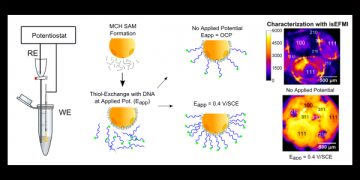 Tailoring the DNA SAM Surface Density on Different Surface Crystallographic Features Using Potential Assisted Thiol Exchange.