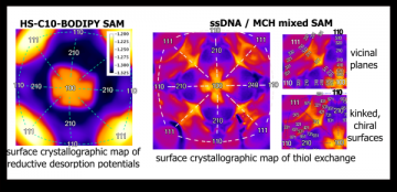 Influence of Surface Structure on Single or Mixed Component Self-Assembled Monolayers via in Situ Spectroelectrochemical Fluorescence Imaging of the Complete Stereographic Triangle on a Single Crystal Au Bead Electrode
